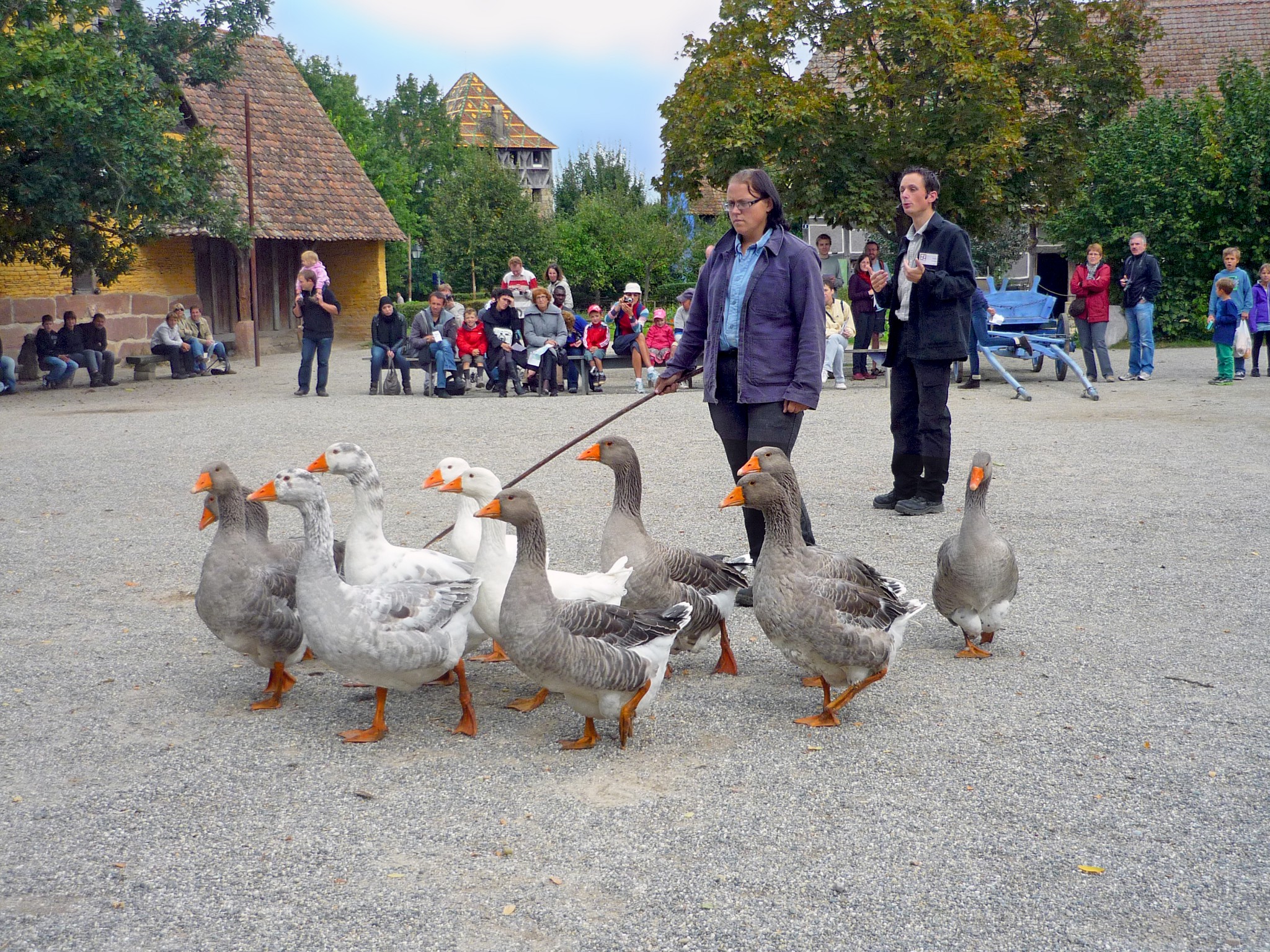 Geese at the Ecomusée d'Alsace © French Moments