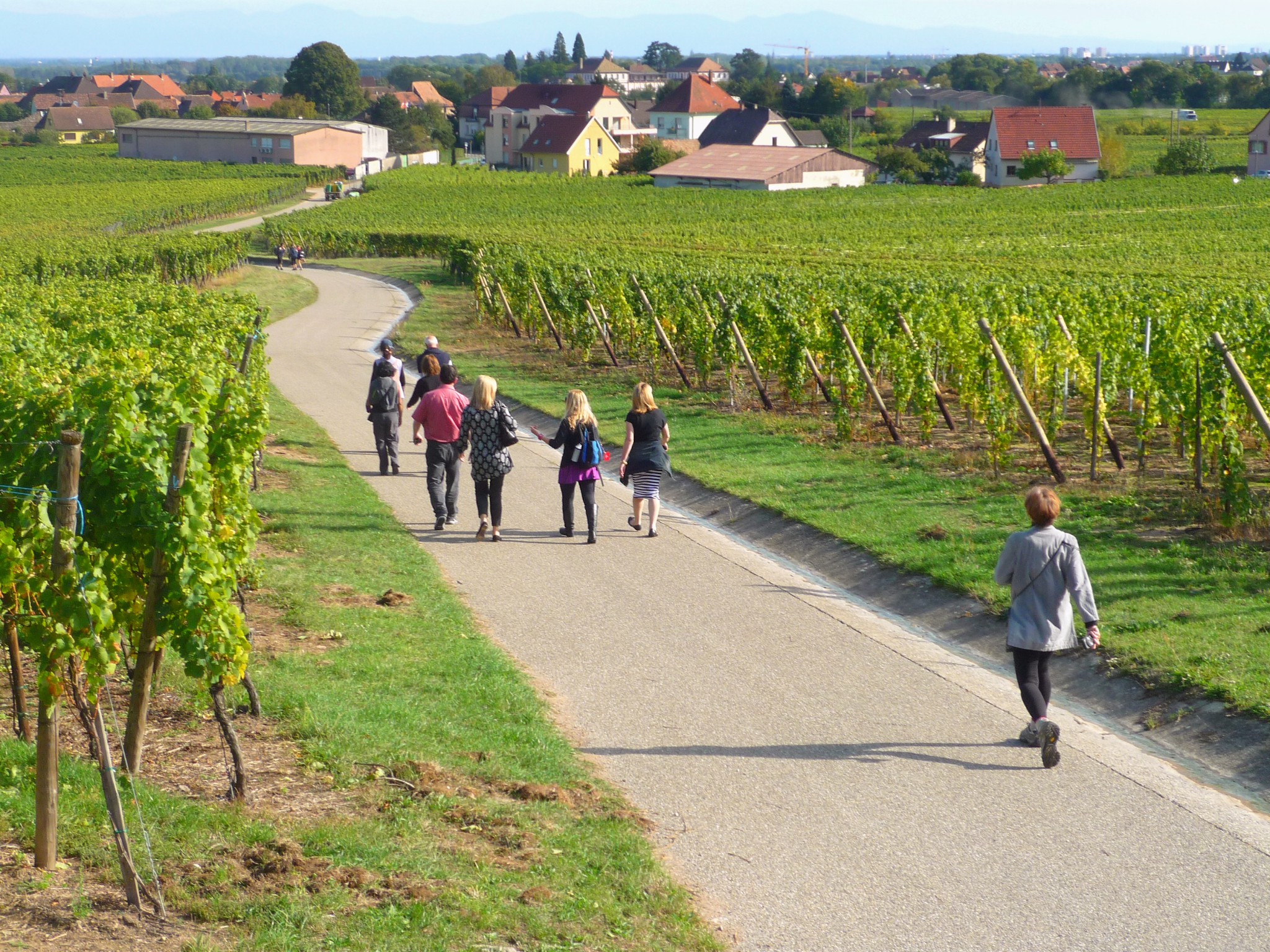 Walking in the vineyards between Kaysersberg and Kienthzheim © French Moments