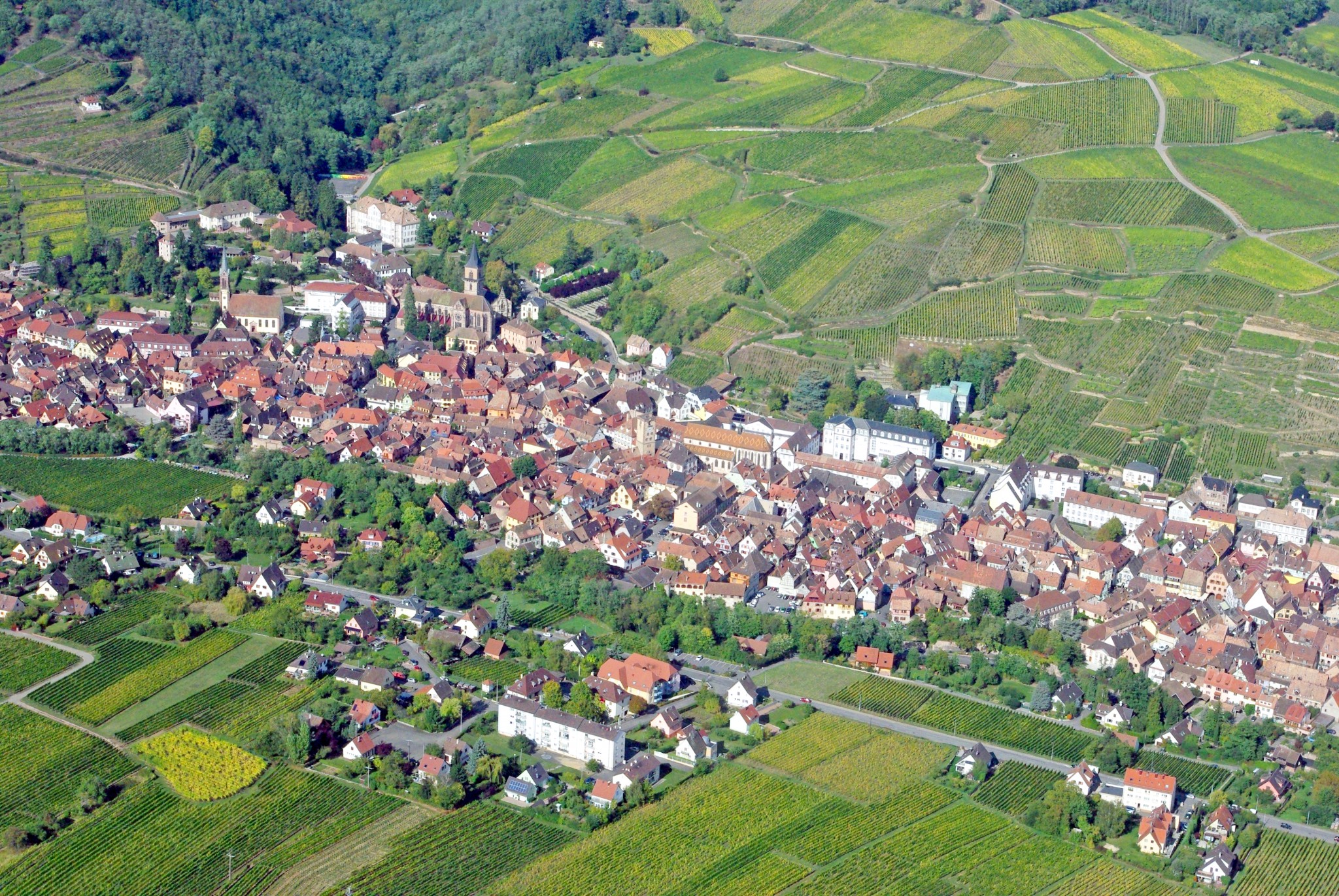 Ribeauvillé from above © French Moments