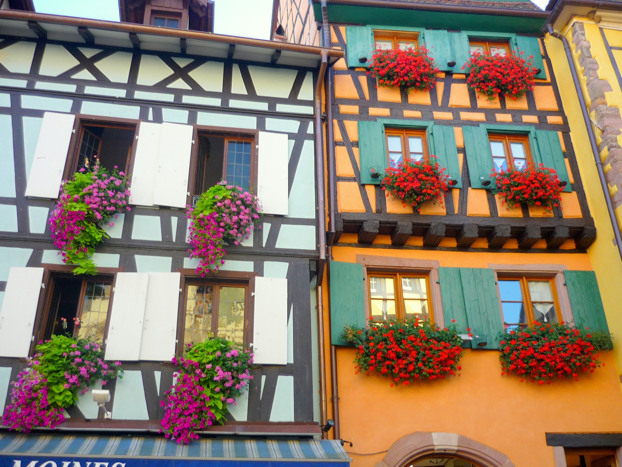 Half-timbered houses in Riquewihr © French Moments