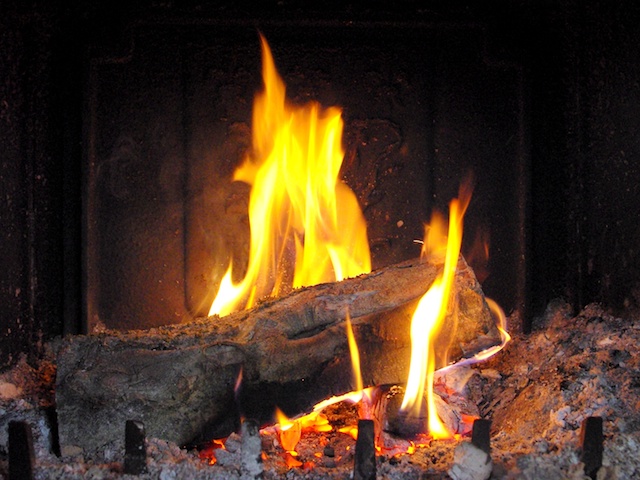 Log in the fire © French Moments