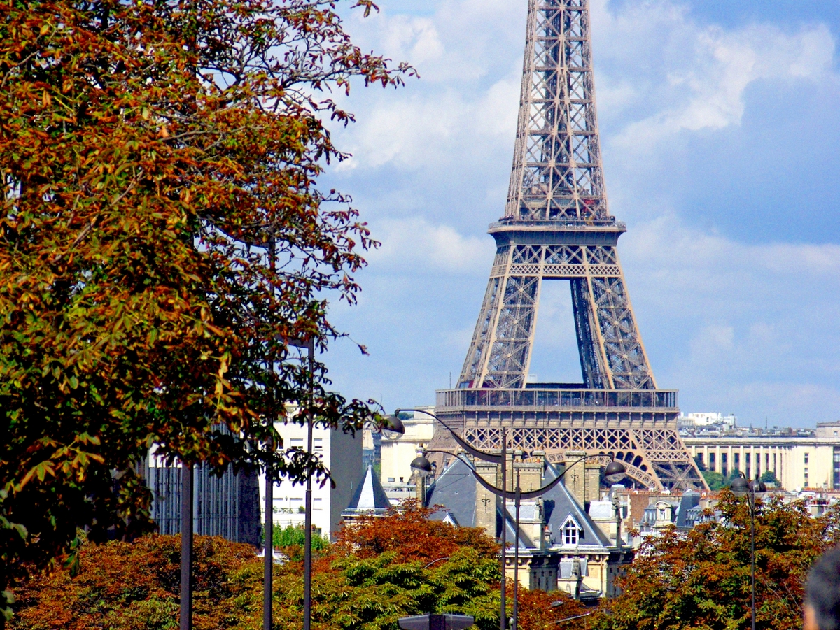 Boulevard Pasteur and Eiffel Tower © French Moments