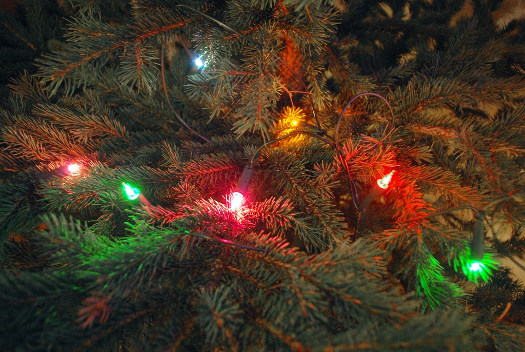 Christmas tree decorations © French Moments