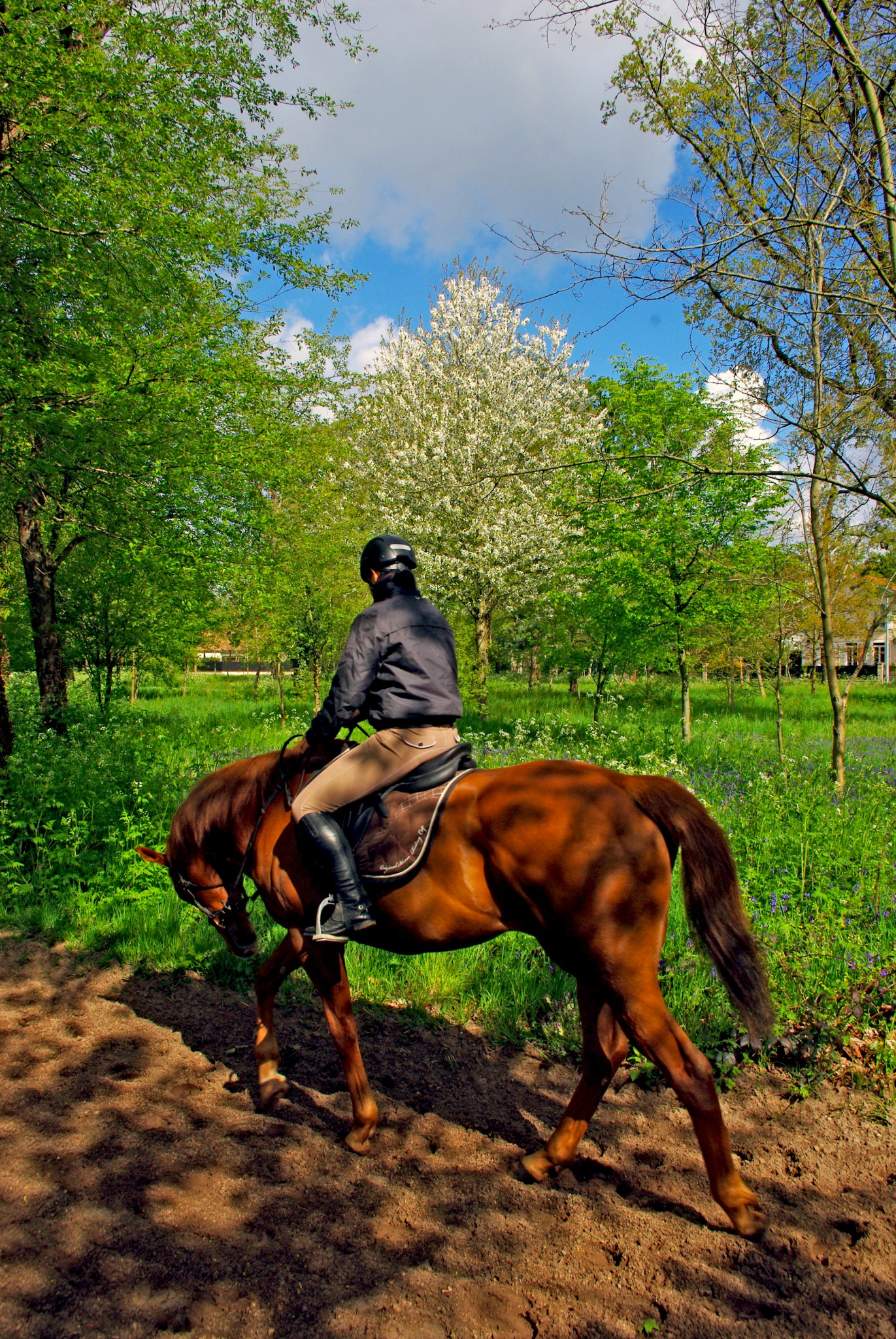 Horse riding in the Park of Maisons-Laffitte © French Moments