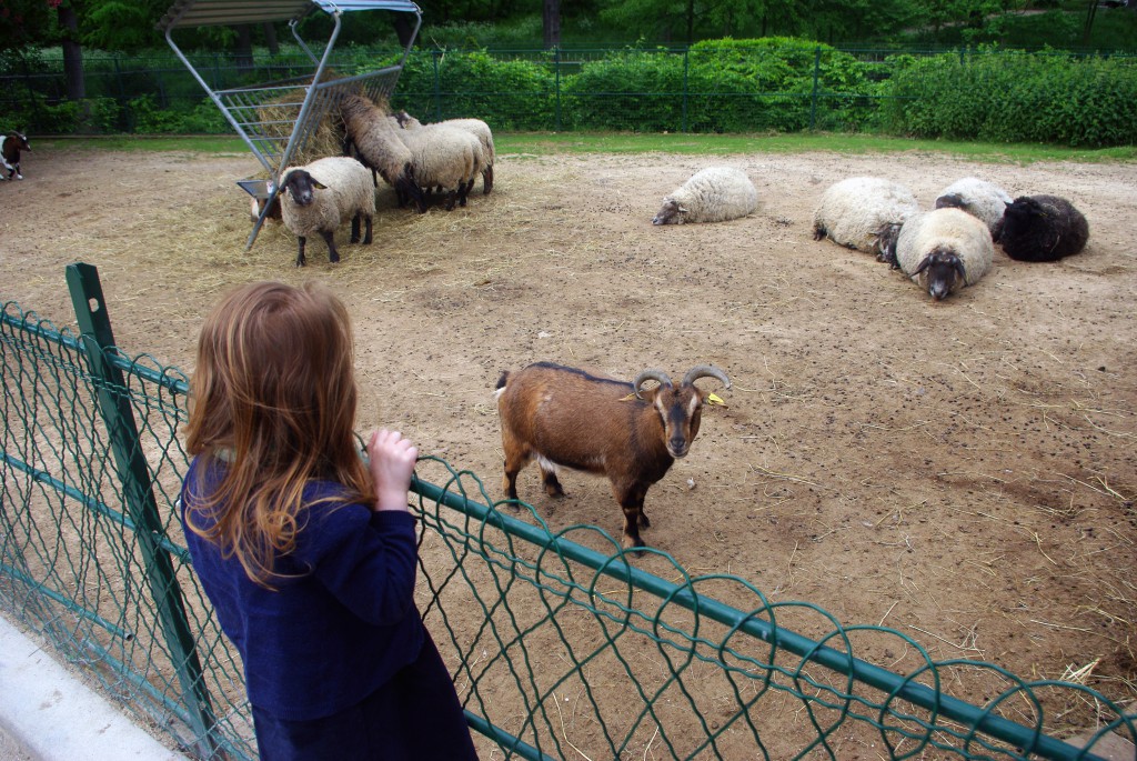 Aimée looking at the goats, Jardin d'Acclimatation © French Moments
