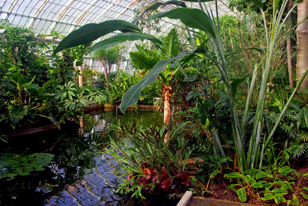 Inside the tropical greenhouse, Jardin des Serres d'Auteuil © French Moments