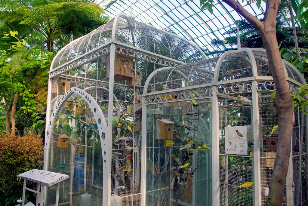 The vivarium inside the Palm-House, Jardin des Serres d'Auteuil © French Moments