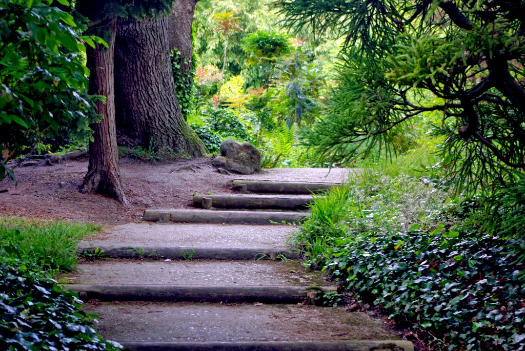 The stairs leading to a tropical forest? Parc de Boulogne © French Moments