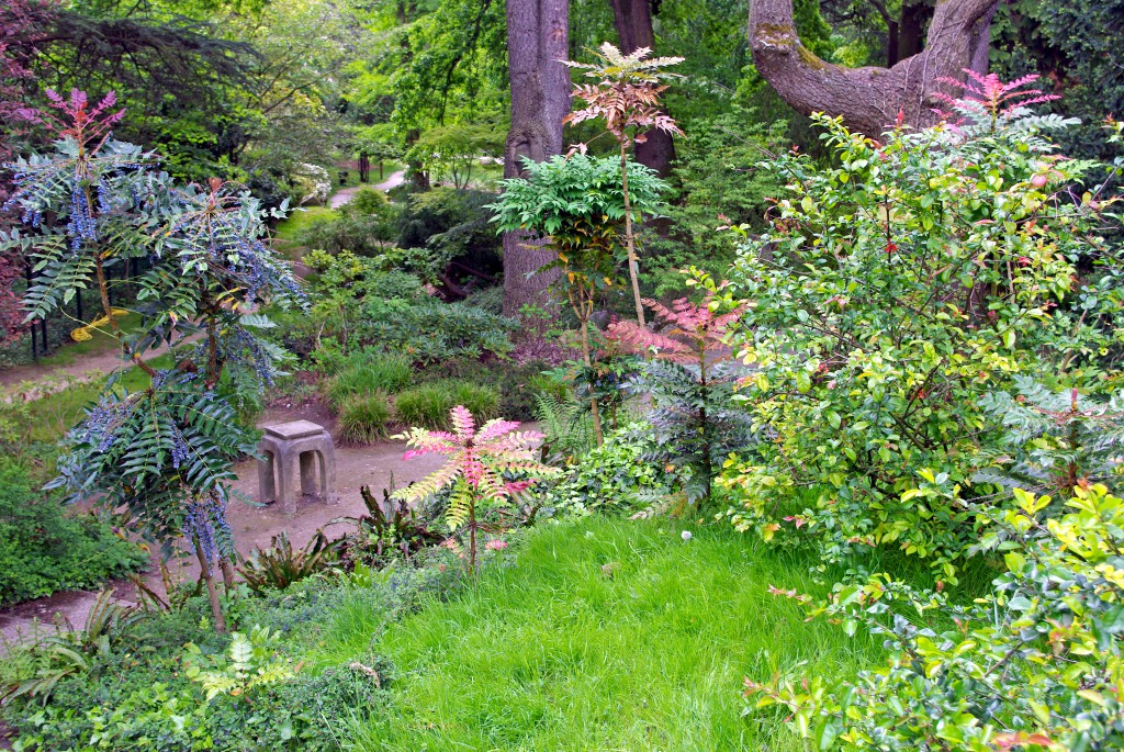 Lush vegetation in the Japanese garden of the Japanese Garden of the Parc de Boulogne © French Moments