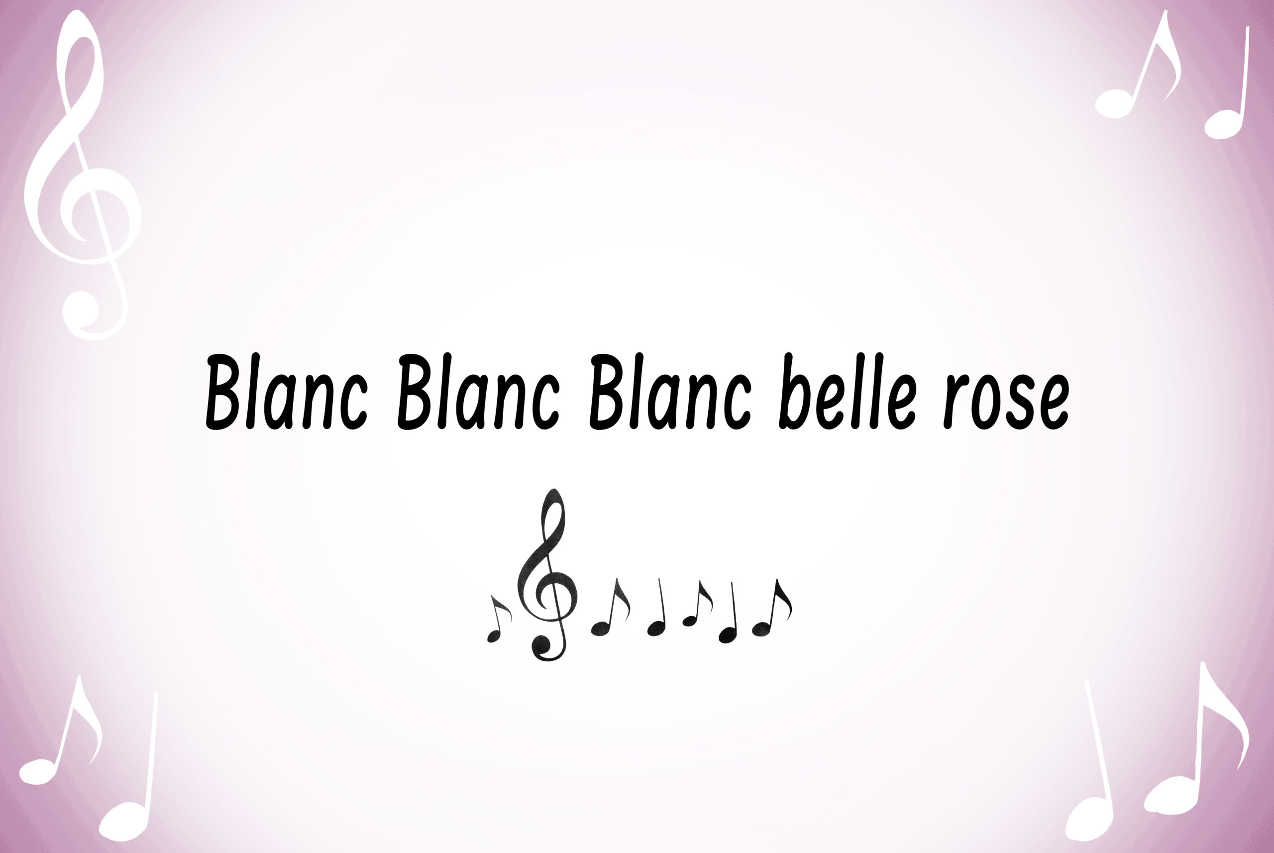 Blanc Blanc Blanc belle rose © French Moments