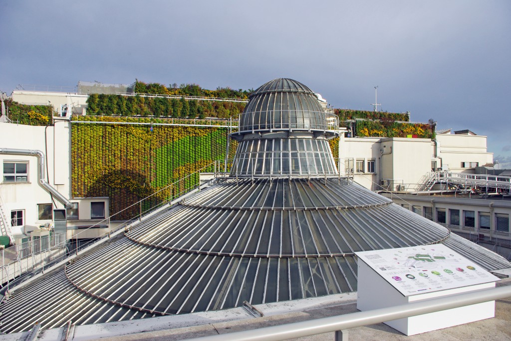 Galeries Lafayette Touts Restored Cupola – WWD