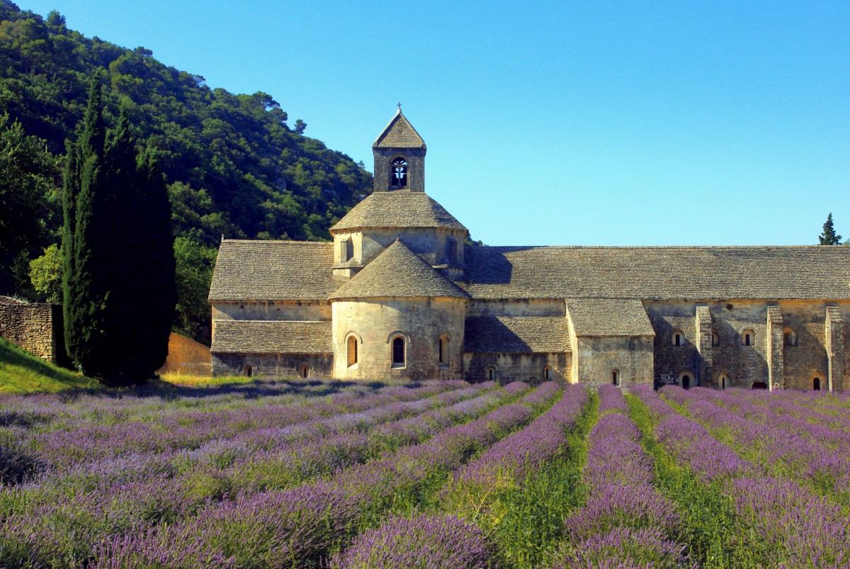 The abbey of Sénanque near Gordes © French Moments