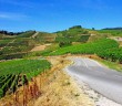 Wine lovers' tips: Alsace Wine Route near Turckheim © French Moments