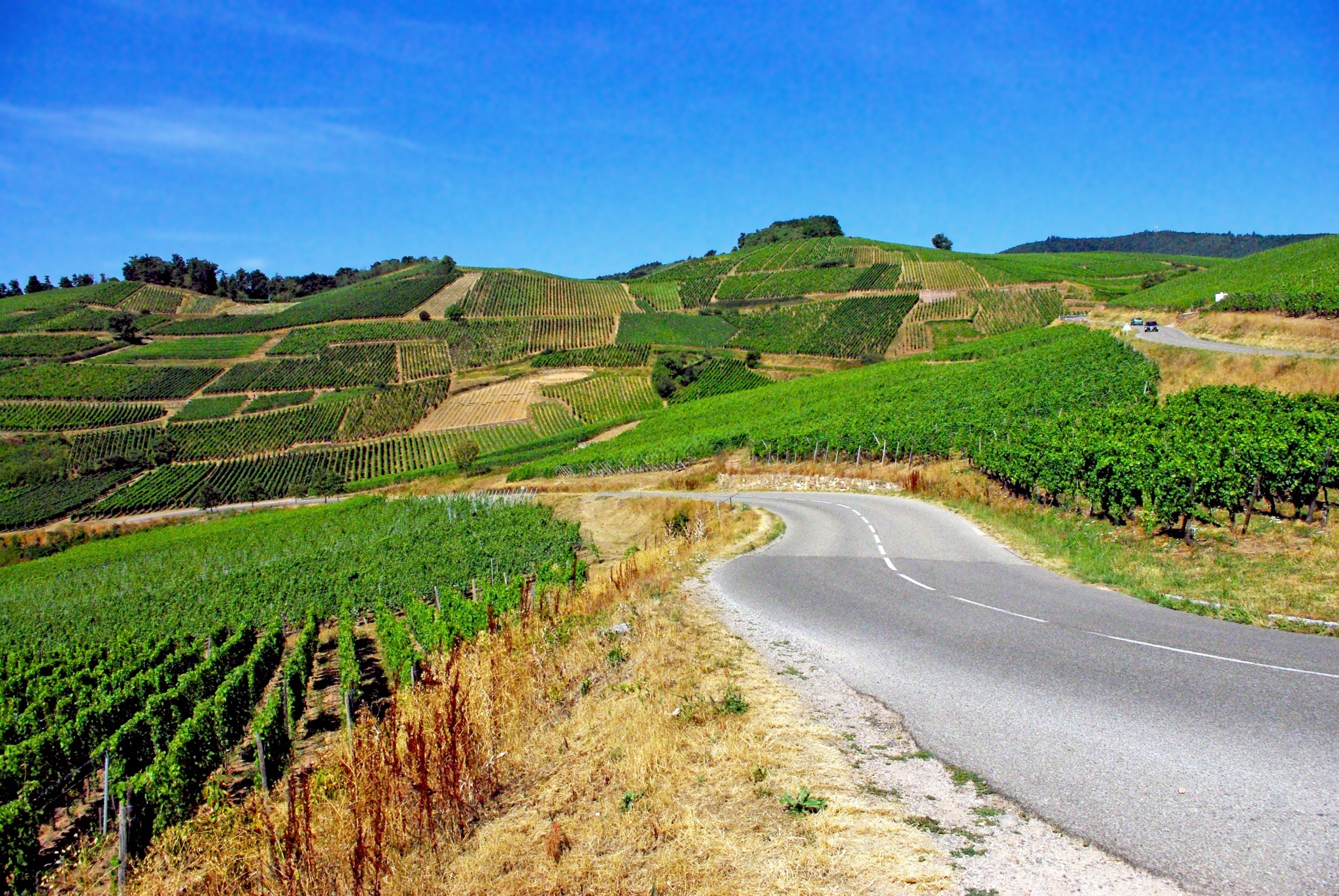 The Alsace Wine Route in the vicinity of Turckheim © French Moments