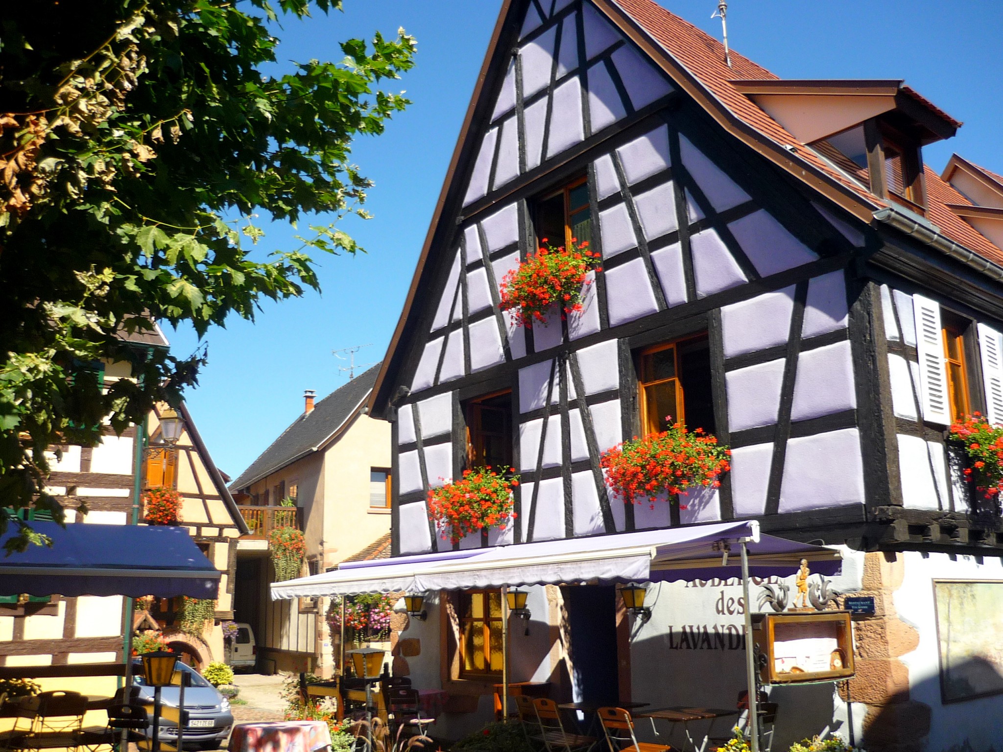 Half-timbered house in the village of Bergheim © French Moments