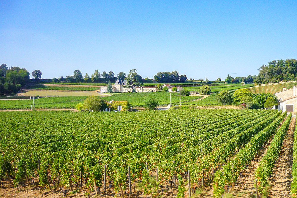 Bordeaux Wines - near Saint-Emilion © French Moments