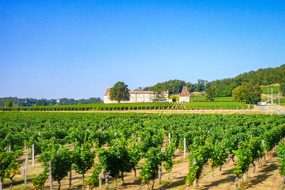 Bordeaux Wines - near Saint-Emilion © French Moments