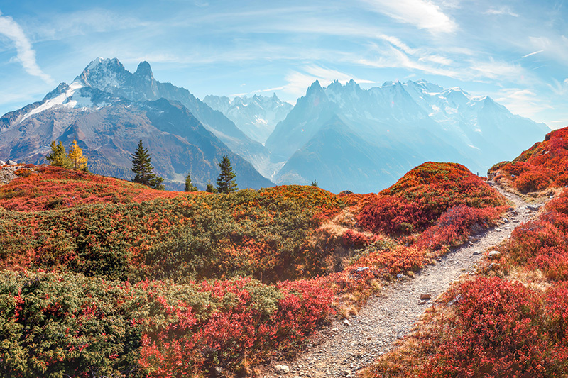 Chamonix Autumn. Photo by ivankmit via Envato Elements