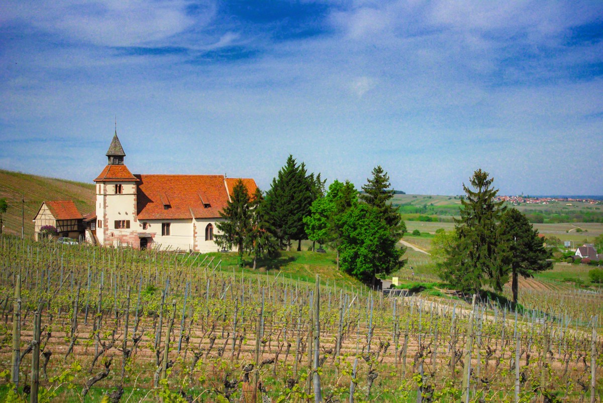 Alsace Wine Route - Dambach-la-Ville © French Moments