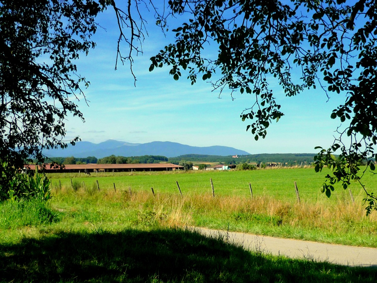 Sundgau near Dannemarie © French Moments