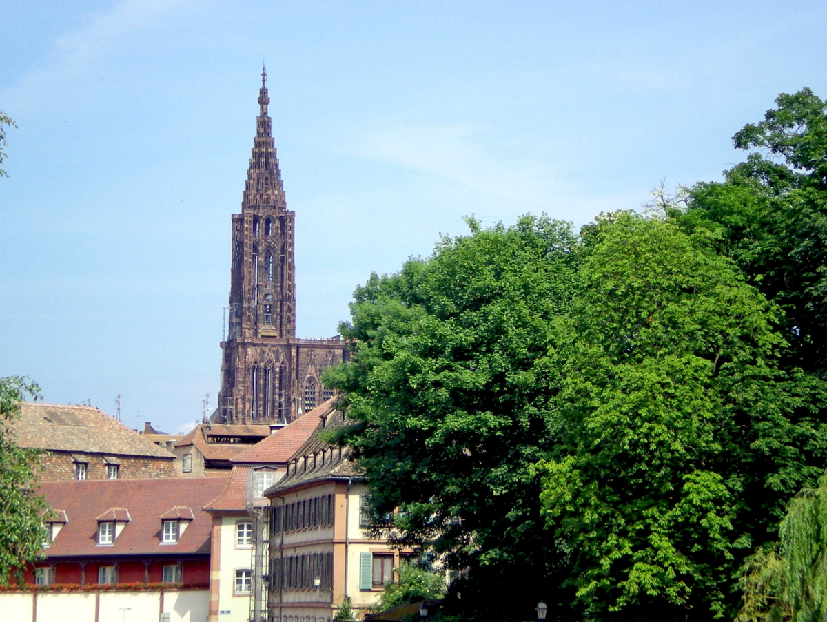 The cathedral seen from the Petite France district © French Moments