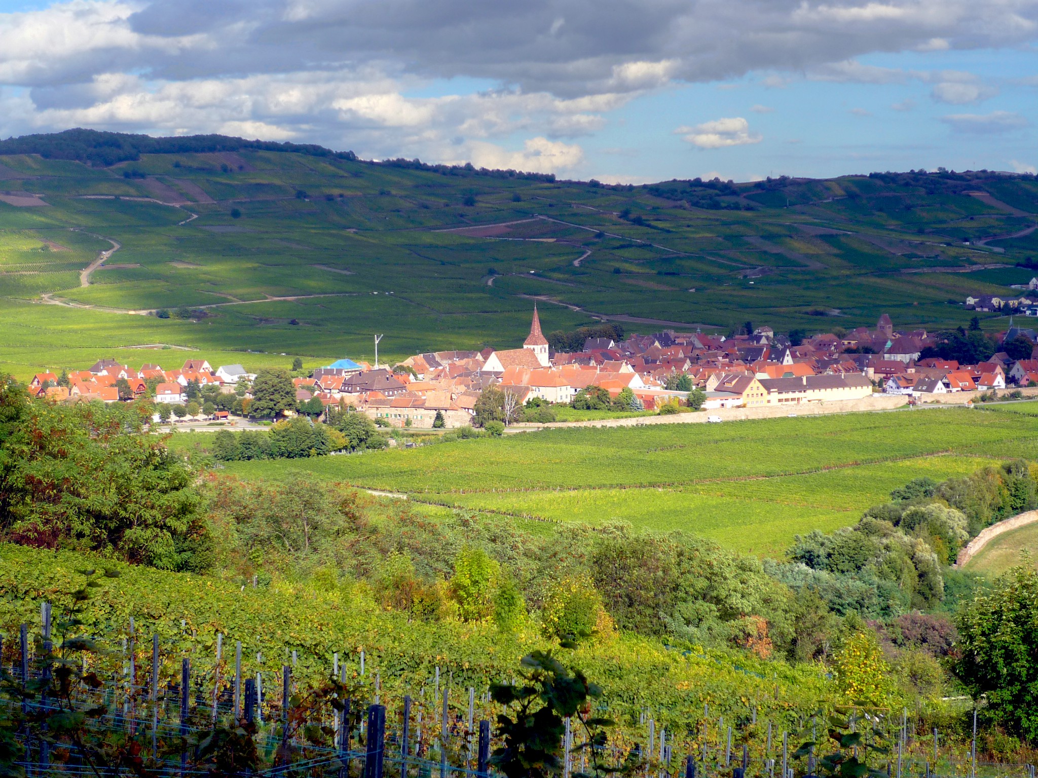 The village of Kientzheim surrounded by the vineyards © French Moments