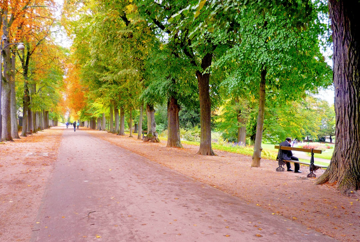 Things to see in Nancy: Parc de la Pépinière © French Moments