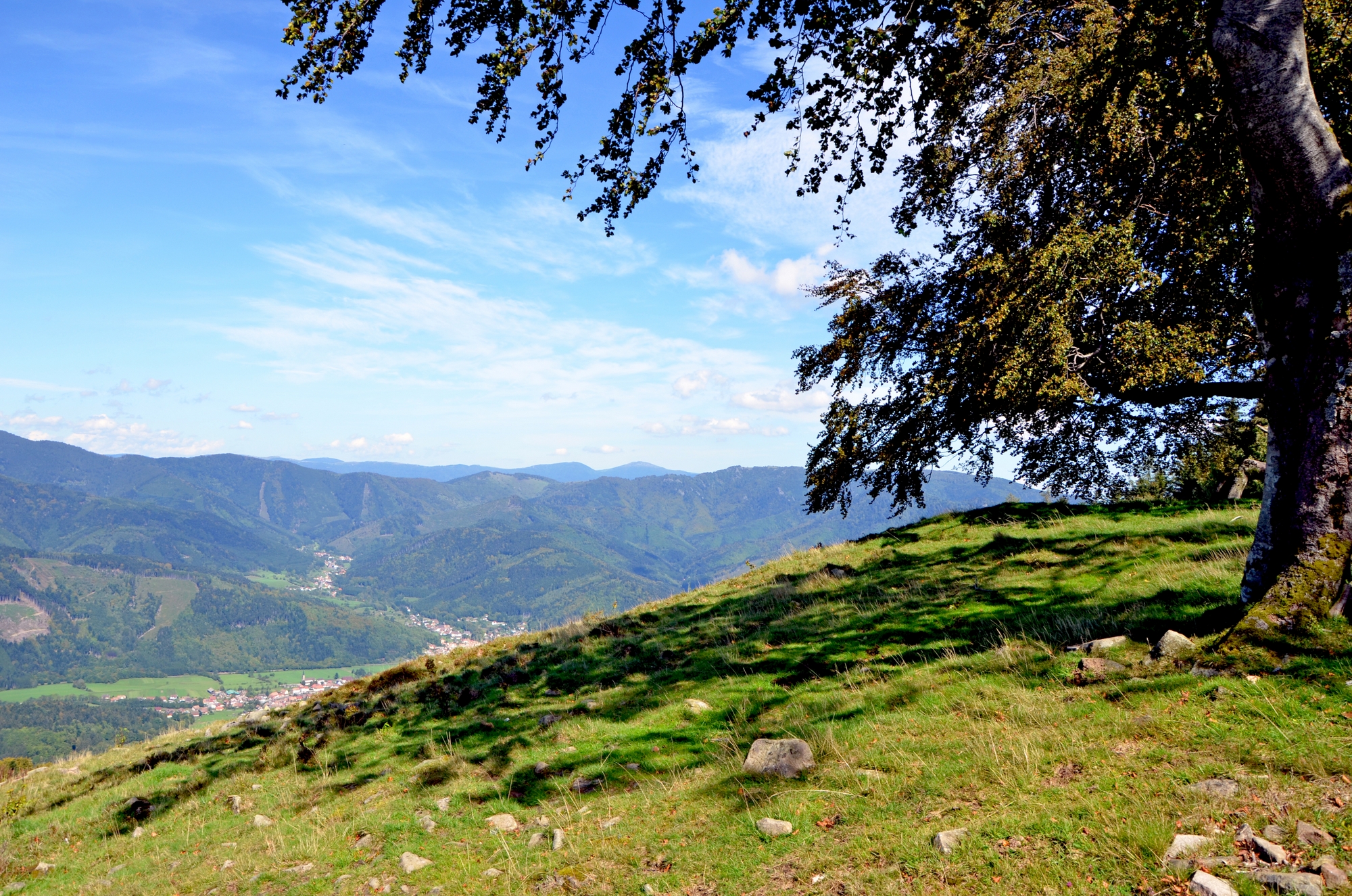 Vosges mountains © French Moments