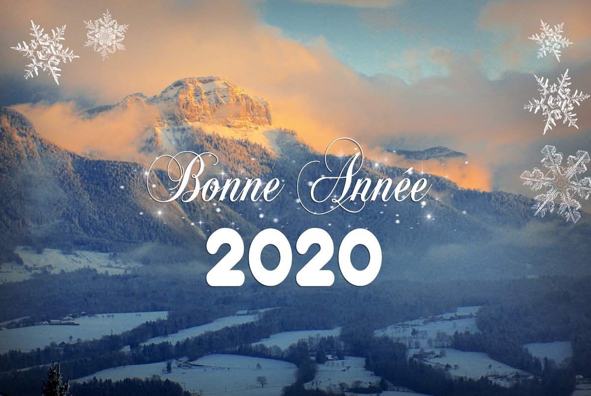 Carte de vœux "Bonne année 2020 !" © French Moments
