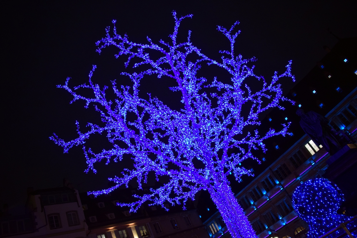 The Blue Tree on Place Gutenberg © French Moments