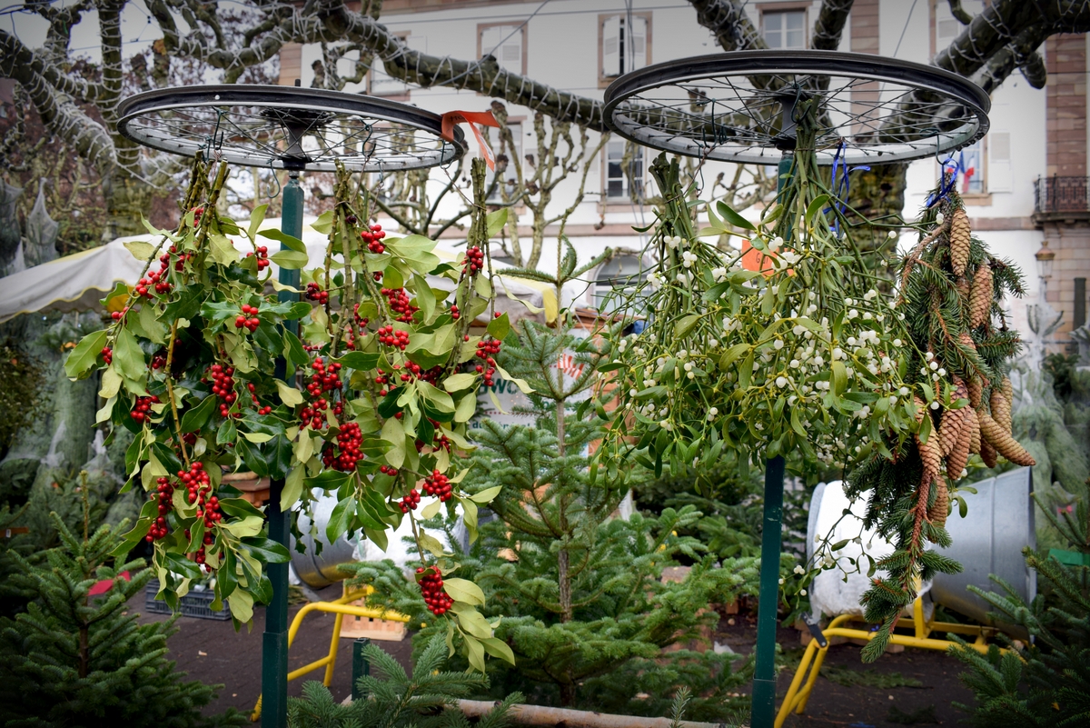 The Christmas tree market on place Broglie © French Moments