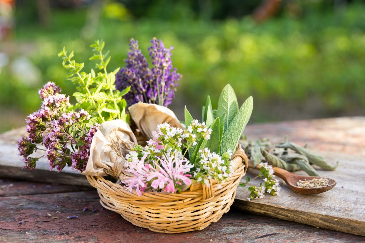 Provençal herbs - Stock Photos from Maria Medvedeva - Shutterstock