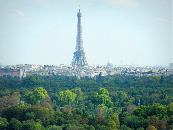 Eiffel Tower and Bois de Boulogne © French Moments