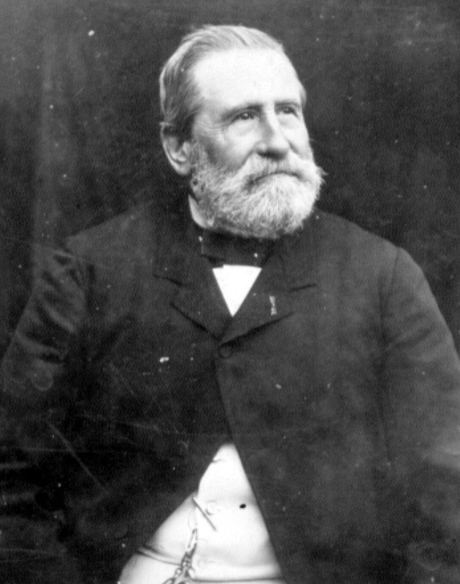 Gaston de Saporta circa 1885