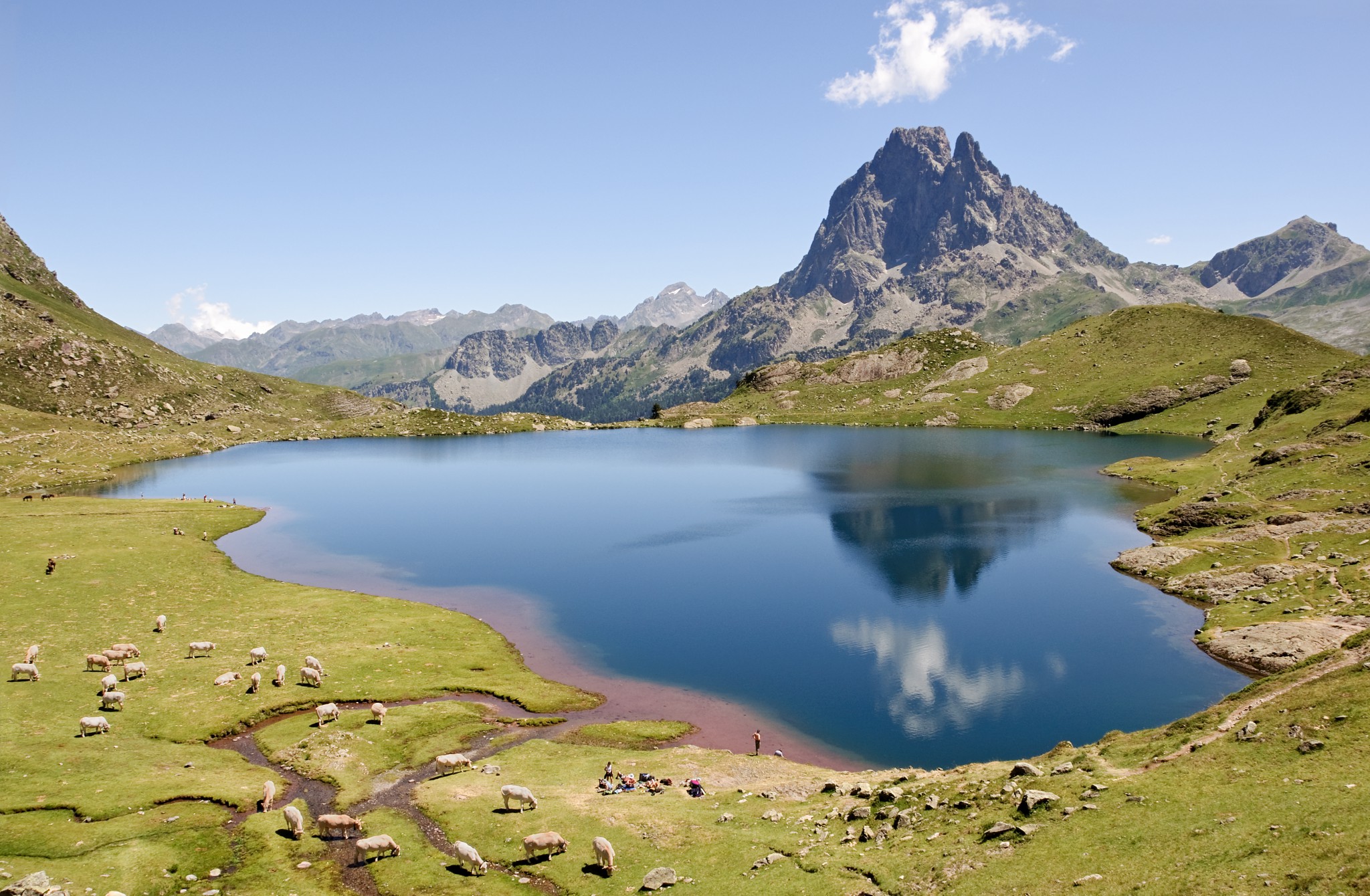 SPADO - DELZONGLE Midi-Pyrénées