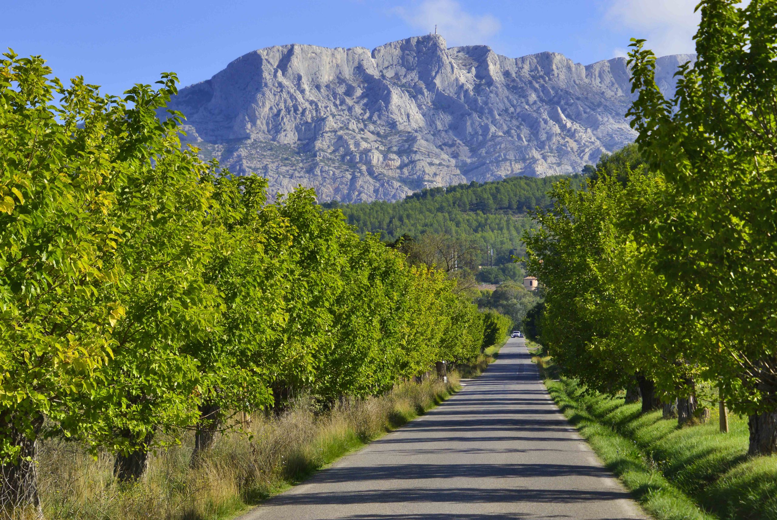 Road near Sainte-Victoire © Spielvogel - licence [CC BY-SA 3.0] from Wikimedia Commons