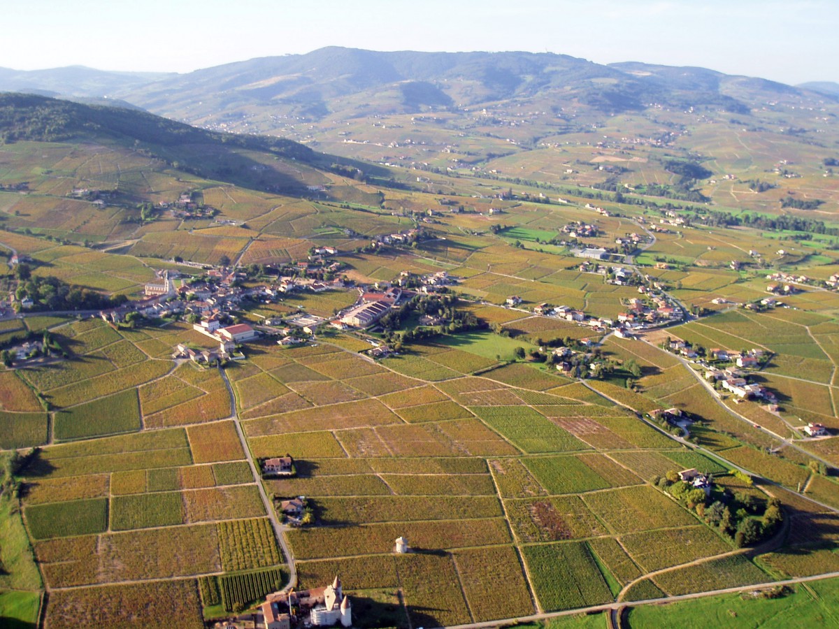 The vineyards of Quincié in the Beaujolais © Pascal - licence [CC BY-SA 3.0] from Wikimedia Commons