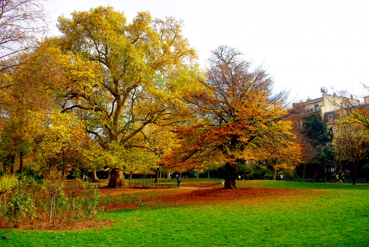 French Quotes and sayings about Autumn. Park Monceau, Paris © French Moments