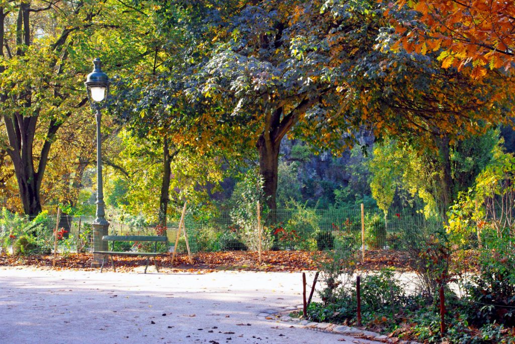 Picture of All there is to know about Autumn in France - French Moments