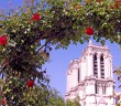 Paris en rose © French Moments