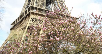 Crazy about the Eiffel Tower Spring at the Eiffel Tower 7 copyright French Moments