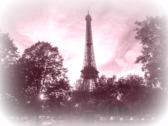 Tour Eiffel Pink © French Moments