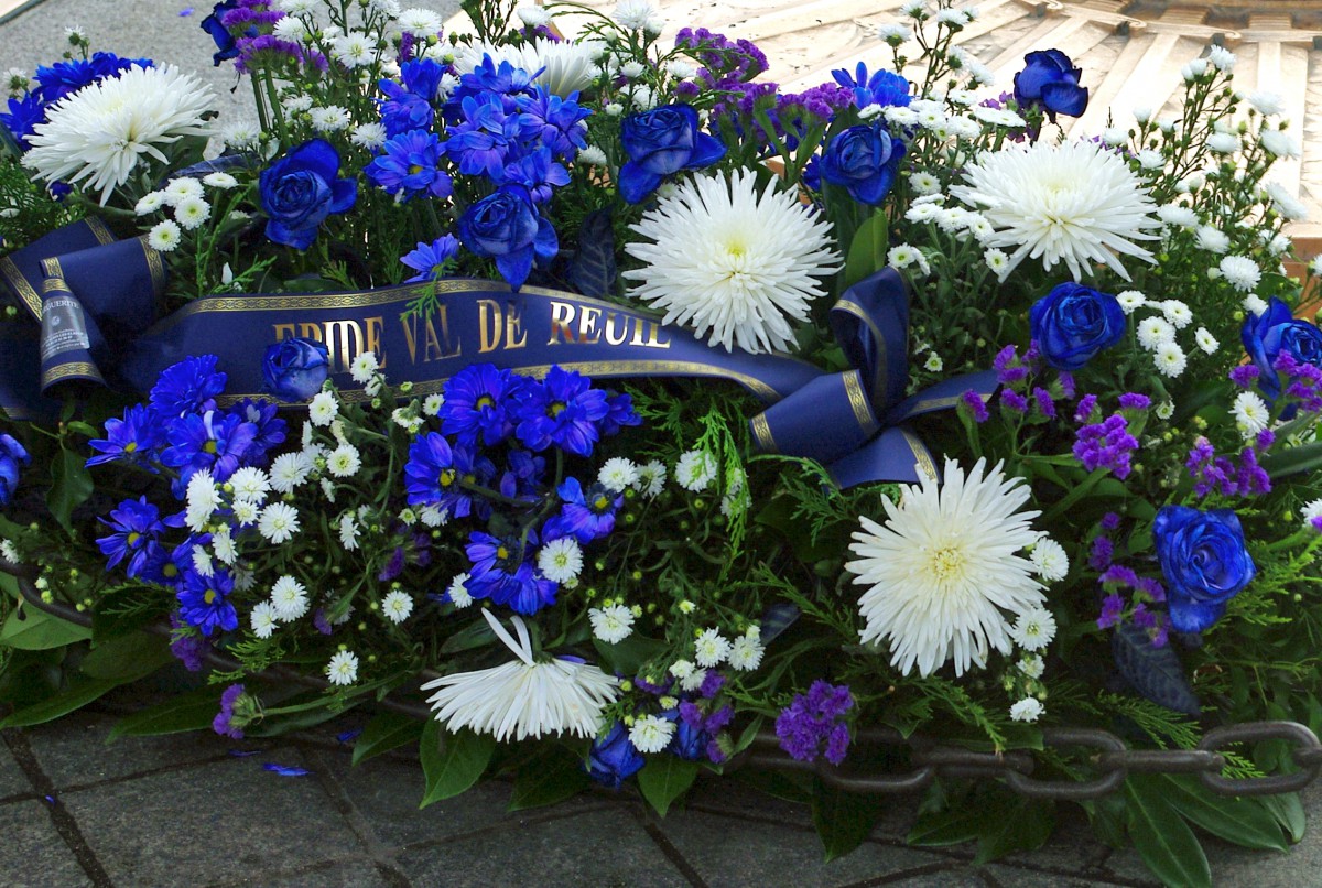 Bleuet de France for World War I Armistice Day © French Moments