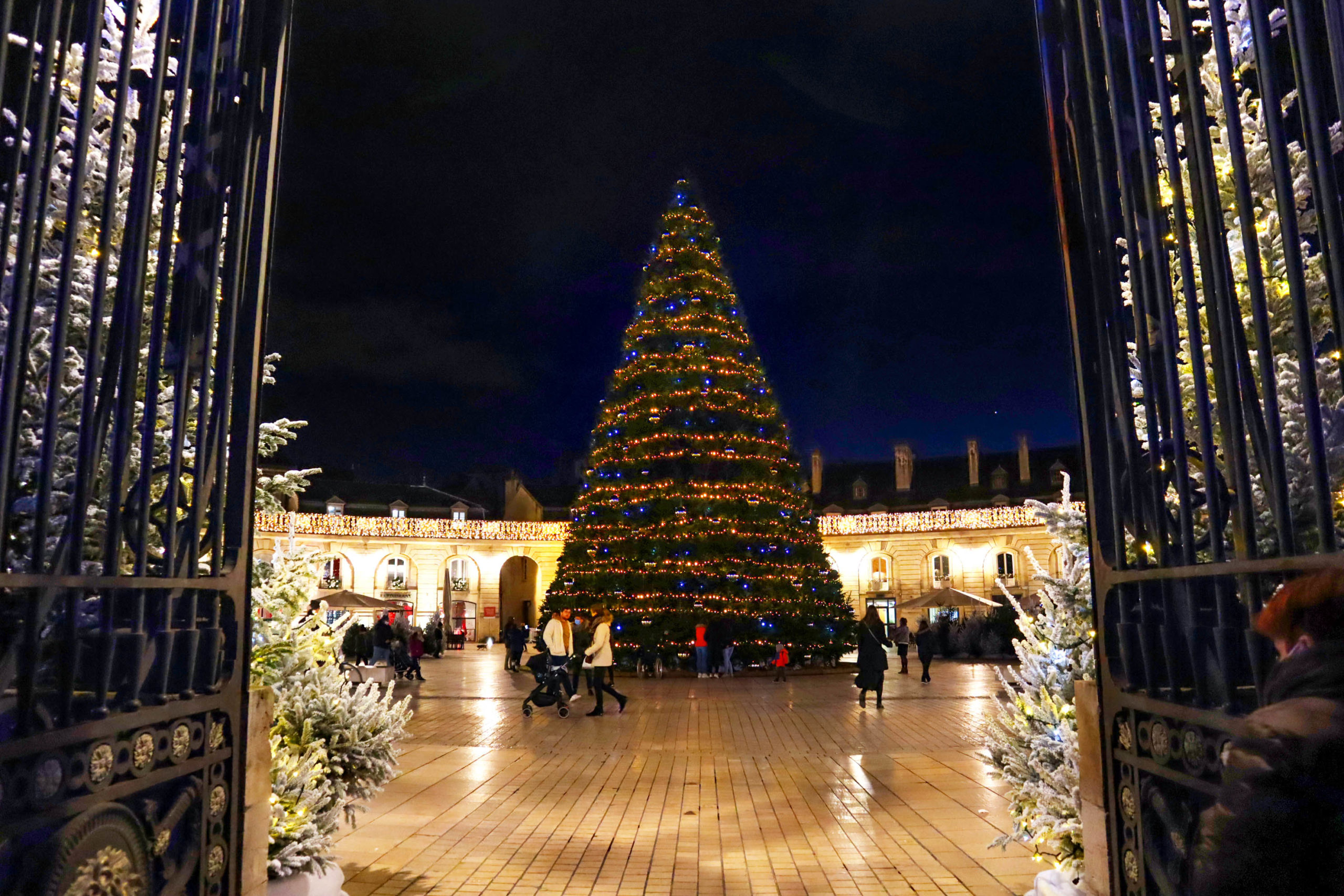 Christmas tree on Place de la Libération © Office de Tourisme de Dijon Métropole