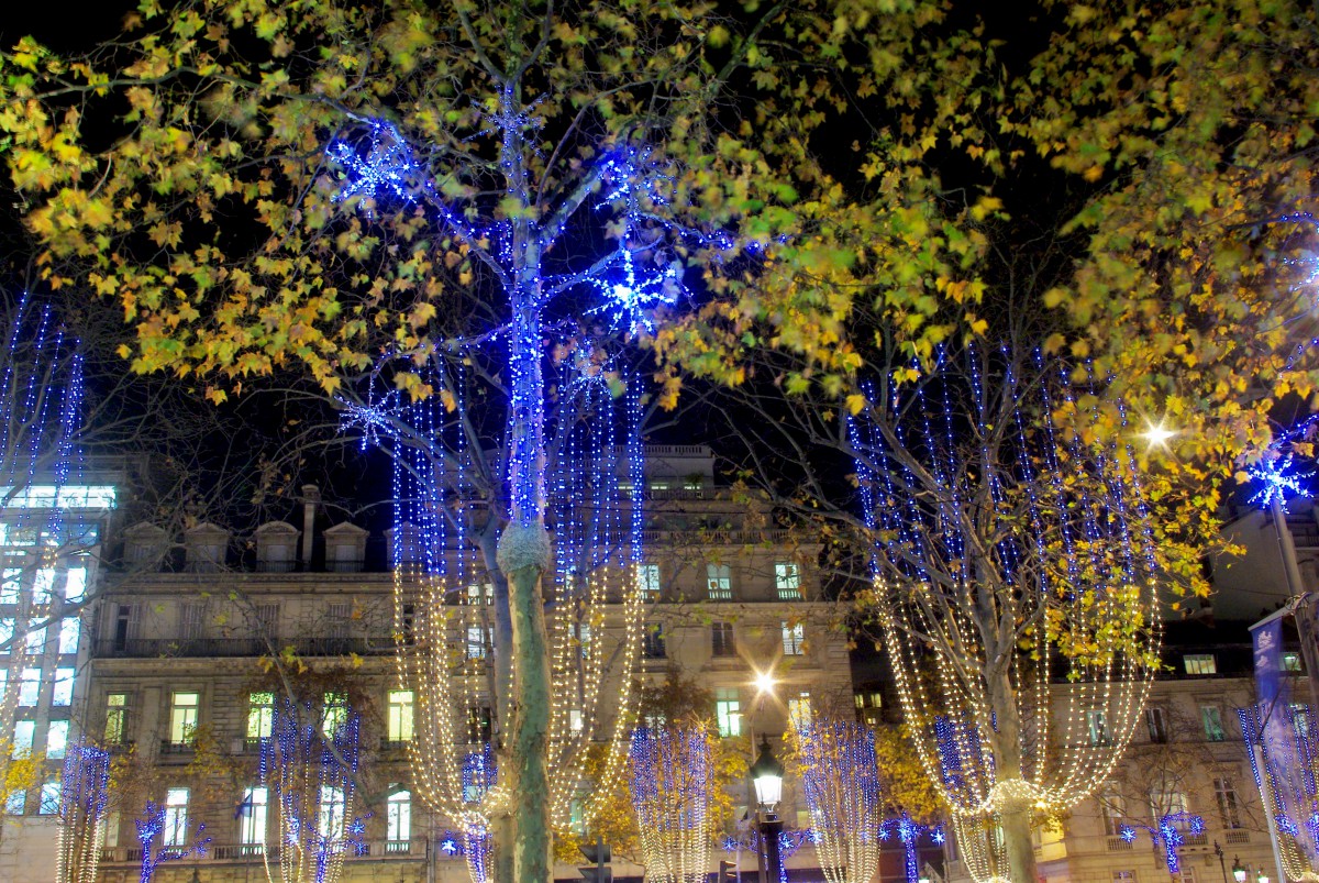 Christmas on the Champs-Élysées, Paris © French Moments