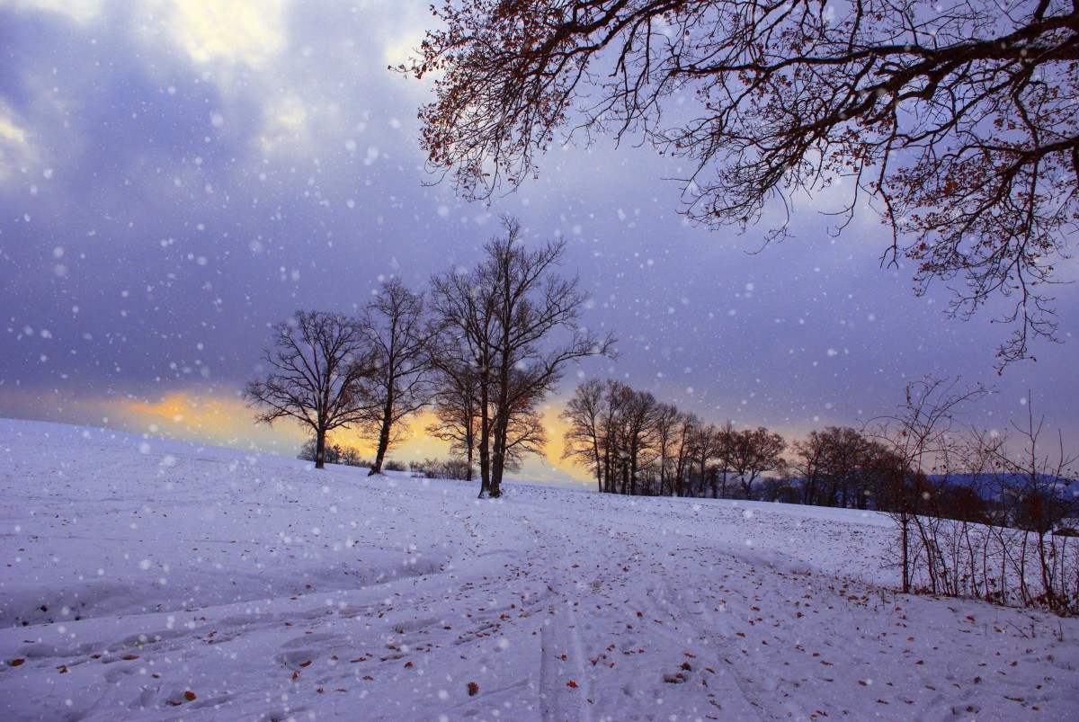 Winter in the Alps © French Moments