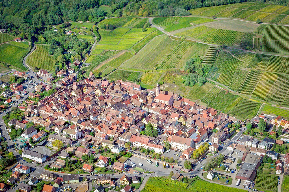 Riquewihr from above 02 copyright French Moments Riquewihr, Alsace Wine Route