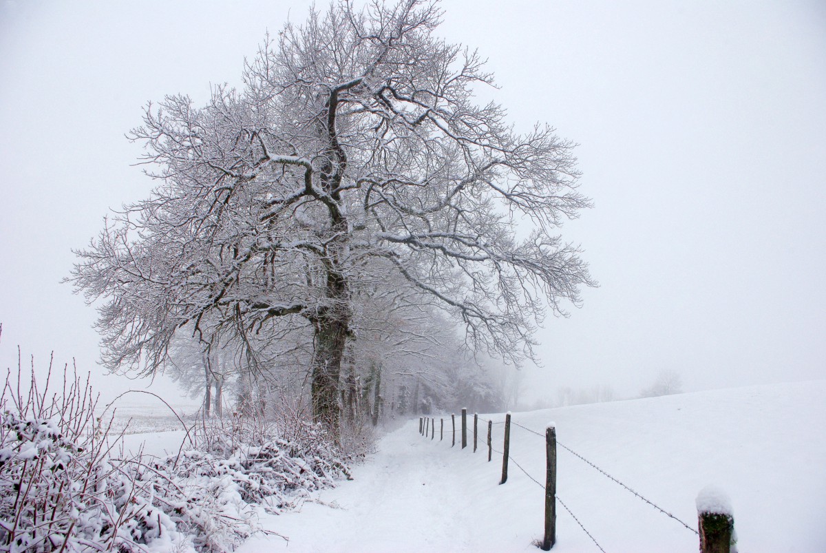 A French Winter Wonderland in the Alps © French Moments