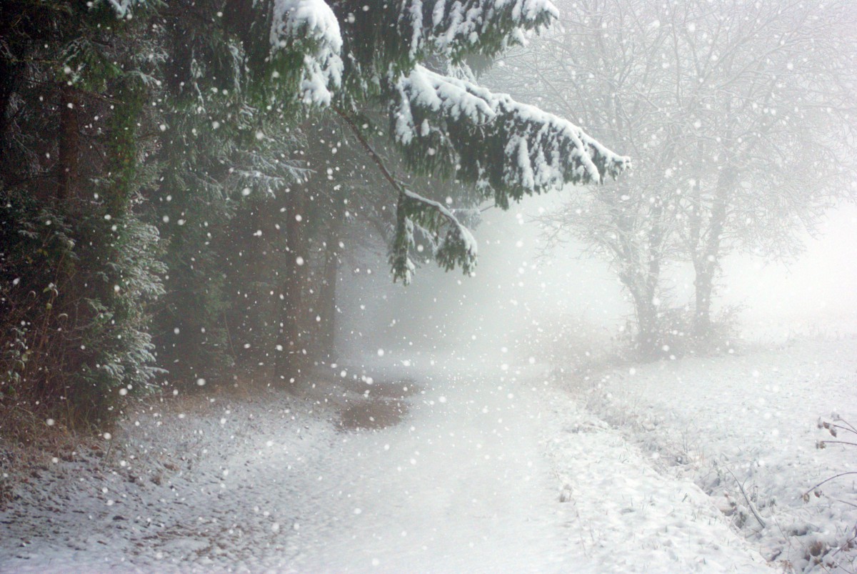 A French Winter Wonderland in the Alps © French Moments