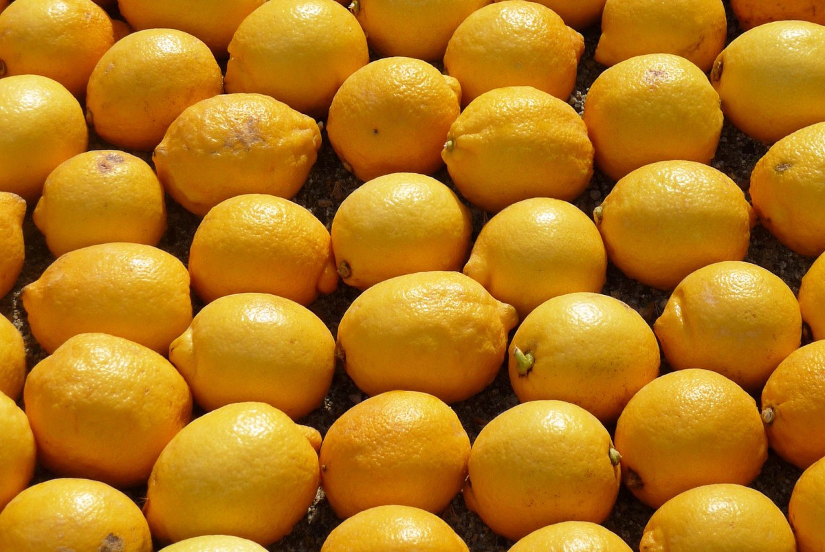 Lemons from Menton © Perline - licence [CC BY-SA 3.0] from Wikimedia Commons